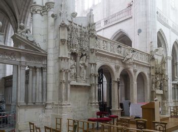 Excursión Cicloturismo Migennes - Laroche-Migennes - Saint-Florentin - Photo