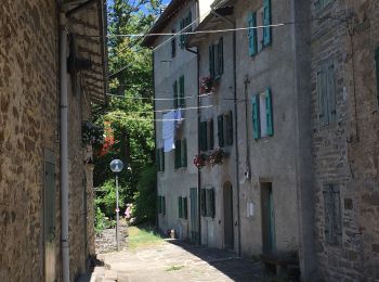 Trail Walking Lizzano in Belvedere - Lizzano in Belvedere-Pianaccio - Photo