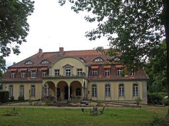 Tour Zu Fuß Hohendubrau - Grüner Strich - Rundweg 22 km - Photo