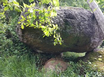 Tour Wandern Rouffignac-Saint-Cernin-de-Reilhac - Rouffignac - Dolmen Dou Cayre - Photo