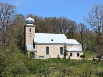 Tocht Te voet Gemeinde Kaumberg - Kaumberg - St. Corona - Schöpfl (Matraswarte) - Photo