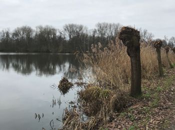 Randonnée Marche Berlare - Rond Donkmeer en Nieuwdonk - Photo