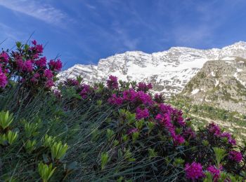 Percorso A piedi Ceresole Reale - IT-539 - Photo