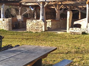 Excursión Senderismo Lavans-lès-Saint-Claude - Les Louviers 2 - Photo