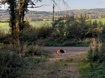 Tour Reiten Pajay - bois de faramans  - Photo