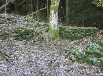 Excursión A pie Rattenberg - Kreuzhaus-Rundweg (Rattenberger Wanderweg 7) - Photo