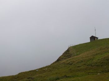 Excursión A pie  - Melchsee-Frutt - Tannenalp - Photo