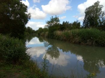 Excursión Bicicleta híbrida Rochefort - Rochefort -  les marais du Nord  - Photo