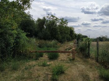 Tour Wandern Villevaudé - villevaude  - Photo