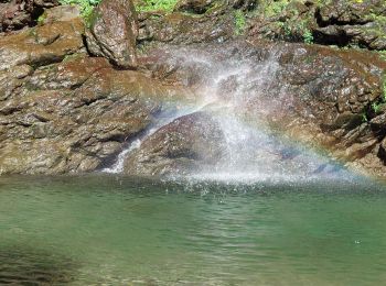 Tocht Trail Fort-de-France - bassin bleu balata  - Photo