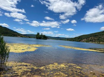 Excursión Senderismo Clermont-l'Hérault - LSG lac Salagou juin 2020 -1 - Photo