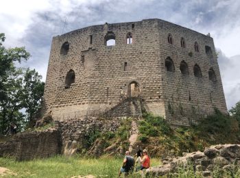 Randonnée Marche Mittelbergheim - Ballade au château d’Andlau avec Sabine et Serge - Photo