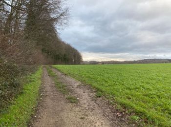 Excursión Senderismo Nivelles - Monstreux 21 km - Photo