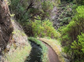 Trail Walking Calheta - chemin des cascades  - Photo