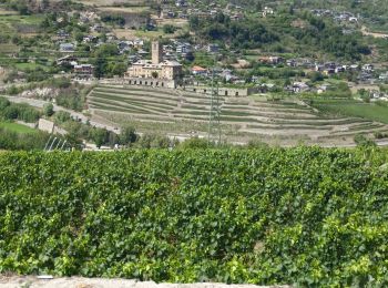 Trail Walking Aymavilles - vignes - Photo