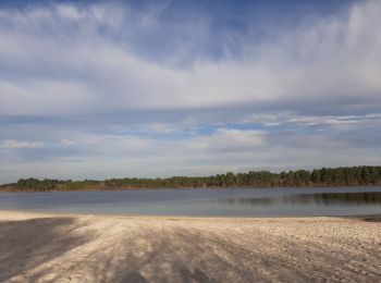 Trail Walking Hostens - Les lacs d'Hostens - Photo