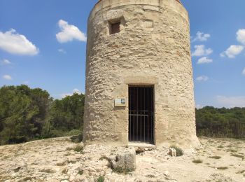 Tour Wandern Fontvieille - Fontvielle - Aqueduc et Moulins - Photo