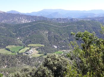 Tour Wandern Nyons - Montagne de Vaux - Photo