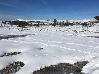 Excursión A pie Valcivières - Les Hautes Chaumes - Photo