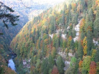 Trail On foot Les Planchettes - Barrage du Châtelot - Saut du Doubs - Photo