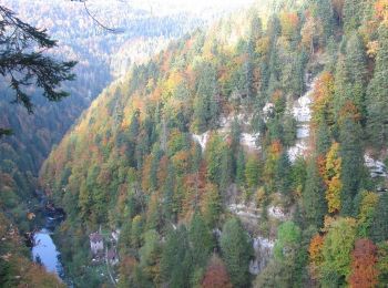 Tocht Te voet Les Planchettes - Barrage du Châtelot - Saut du Doubs - Photo