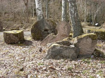 Tour Zu Fuß  - Stenhuggarstigen - Photo