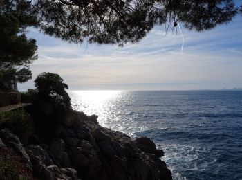 Tocht Stappen Saint-Jean-Cap-Ferrat - Pointe St Hospice, tour du cap Ferrat, Isthme de St Jean - Photo