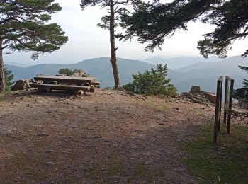 Excursión Senderismo Satillieu - satilleux Vérines mont Chaix le traiteur la garenne - Photo