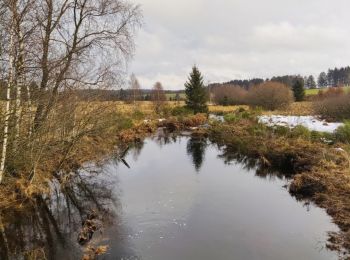 Tocht Stappen Waimes - Wandeling Peak Beer blonde (new) - Photo