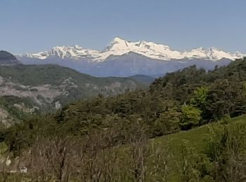 Tour Wandern Bayons - BAYONS  . col des Sagnes , Peyrouret , Picouse , bergerie de Gautiere , Piaure , Giaire n - Photo