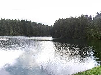 Tocht Te voet Clausthal-Zellerfeld - HK 4: Neckelnberg, Seesen - Bad Grund - Wildemann - Langelsheim - Photo