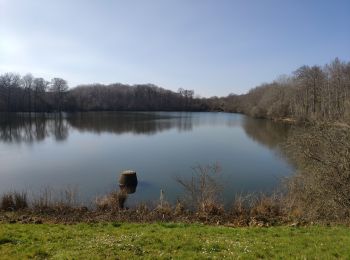 Tour Wandern Villiers-le-Bâcle - Gif 2022 : La Mérantaise - Photo