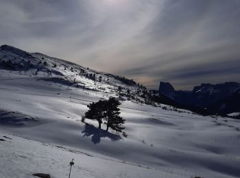 Excursión Senderismo Gresse-en-Vercors - Pas du Serpaton - Photo