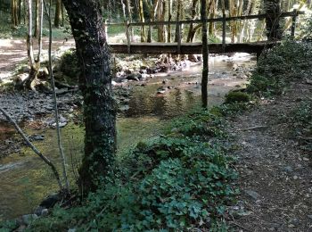 Tour Wandern Ladirat - vallée heureuse  - Photo