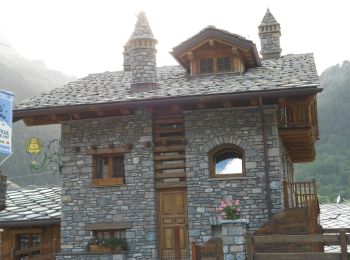Tour Zu Fuß Courmayeur - Alta Via n. 1 della Valle d'Aosta - Tappa 17 - Photo