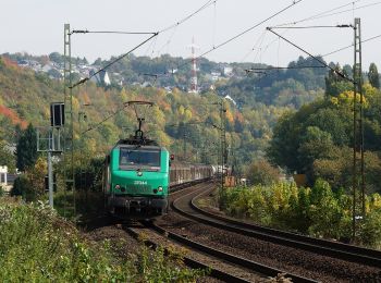 Randonnée A pied Vettelschoß - Rheinsteig-Zuweg Kalenborn - Photo