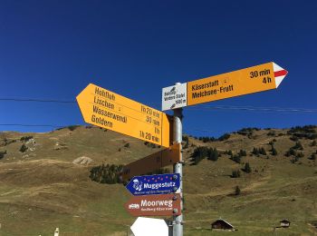 Excursión A pie Hasliberg - Muggenstutz Zwergenweg Lischen-Käserstatt - Photo