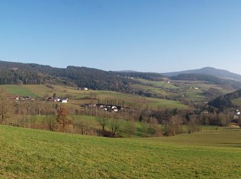 Excursión A pie Sankt Englmar - Goldsteig Zuweg Nr.29 Neukirchen - Maibrunn - St. Englmar - Photo