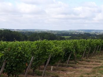 Randonnée Marche Cravant-les-Côteaux - Cravant les coteaux (vieux bourg) - Photo