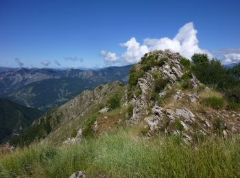 Tocht Te voet Moulinet - Crêtes de l'Arpiha - Photo