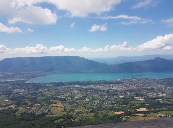 Tour Wandern Montcel - le revard - Photo