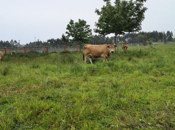 Tour Wandern Cudillero - cudillero  - Photo