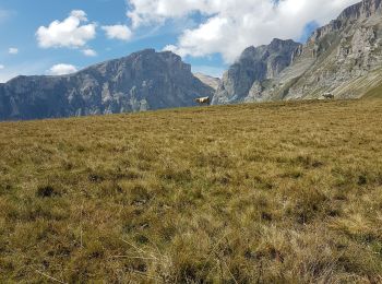 Excursión Senderismo Pellafol - R44 Le Bénitier - Photo