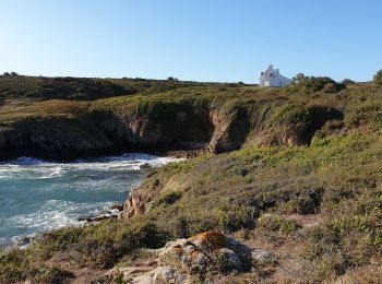 Excursión Senderismo Île-d'Houat - Tour ile de houat - Photo