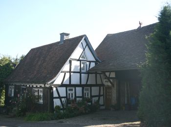 Excursión A pie Brensbach - Rundwanderweg Wallbach 1: Buchböhl-Weg - Photo