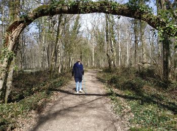 Excursión Senderismo Vauchassis - Bois de Ferrieres - Photo