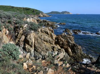 Randonnée Marche La Croix-Valmer - La Croix Valmer - Ptes de la Bouillabaisse, Vergon et du Brouis - Cap Lardier - Photo