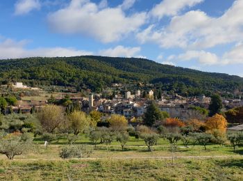 Percorso Mountainbike Moissac-Bellevue - Foret de Poulenc aups moissac - Photo