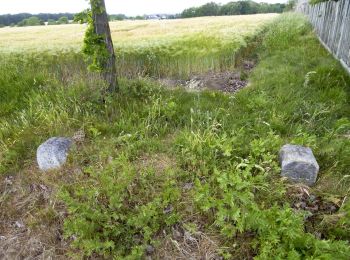 Tocht Te voet Lossatal - Thammenhain-Kobershain - Photo