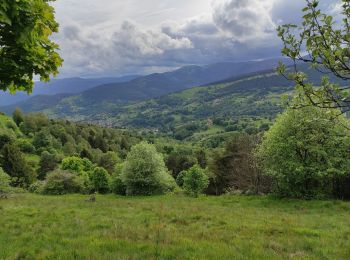 Tour Wandern Sulzern - Lac de Forlet Hohrodberg  - Photo